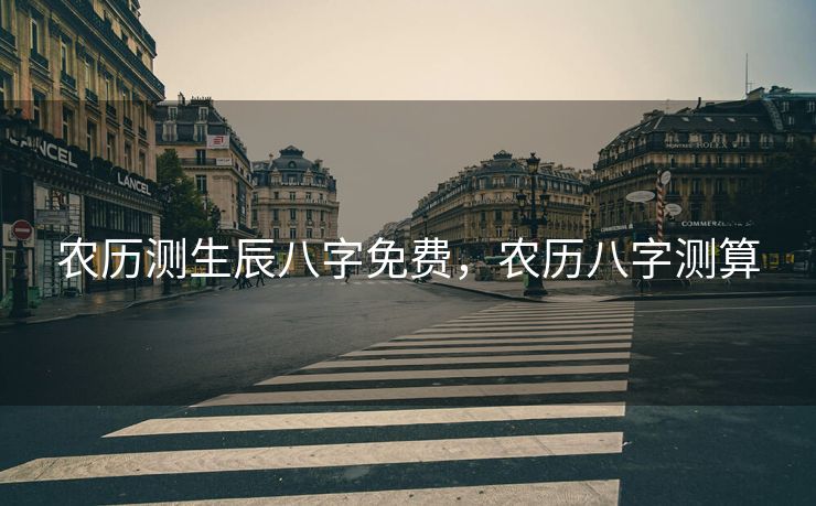 农历测生辰八字免费，农历八字测算
