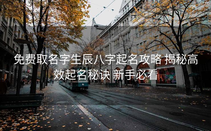 免费取名字生辰八字起名攻略 揭秘高效起名秘诀 新手必看