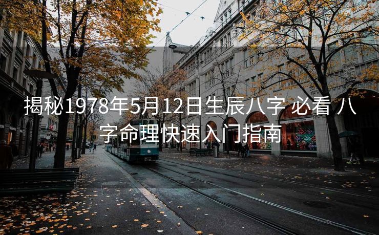 揭秘1978年5月12日生辰八字 必看 八字命理快速入门指南