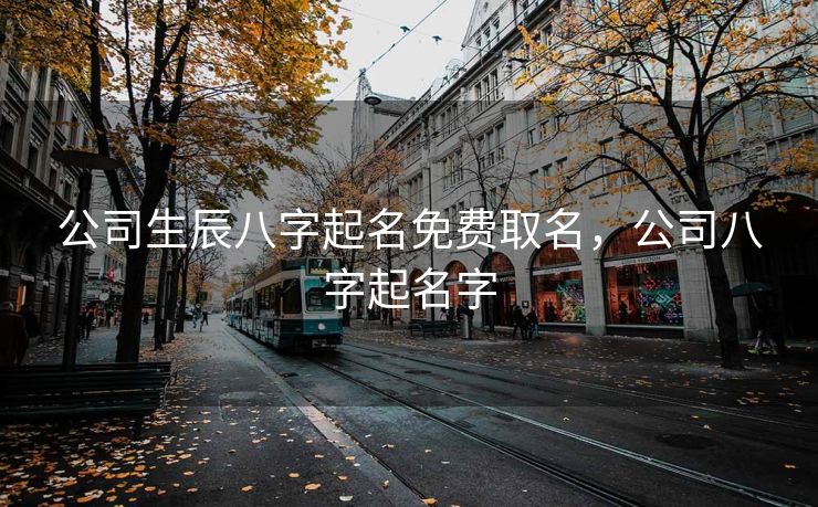 公司生辰八字起名免费取名，公司八字起名字