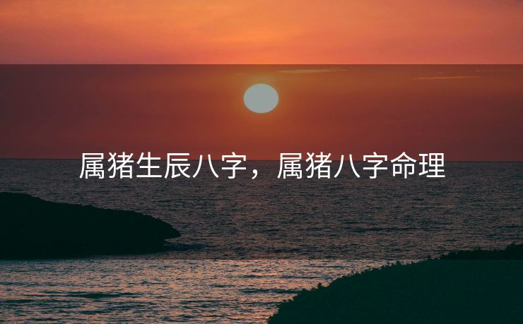 属猪生辰八字，属猪八字命理