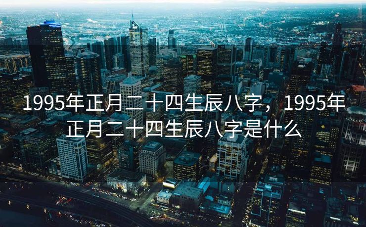 1995年正月二十四生辰八字，1995年正月二十四生辰八字是什么