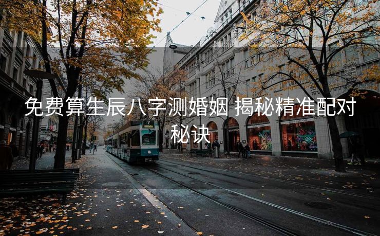 免费算生辰八字测婚姻 揭秘精准配对秘诀