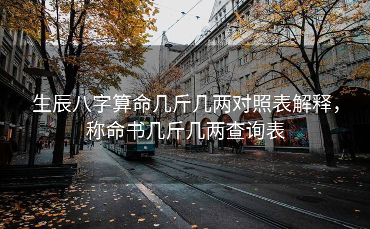 生辰八字算命几斤几两对照表解释，称命书几斤几两查询表
