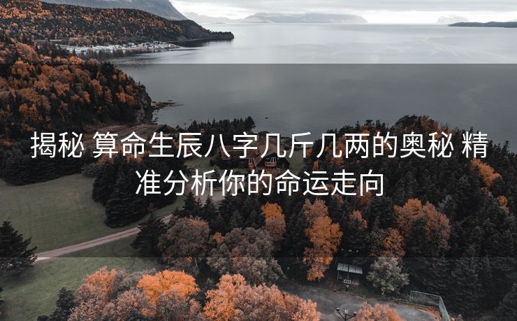 揭秘 算命生辰八字几斤几两的奥秘 精准分析你的命运走向