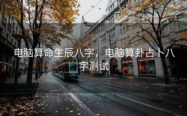 电脑算命生辰八字，电脑算卦占卜八字测试