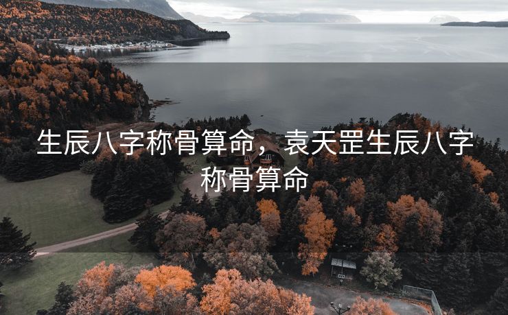 生辰八字称骨算命，袁天罡生辰八字称骨算命