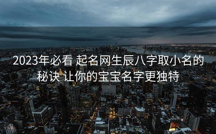 2023年必看 起名网生辰八字取小名的秘诀 让你的宝宝名字更独特