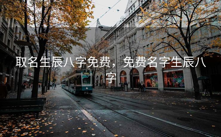 取名生辰八字免费，免费名字生辰八字
