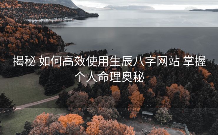 揭秘 如何高效使用生辰八字网站 掌握个人命理奥秘