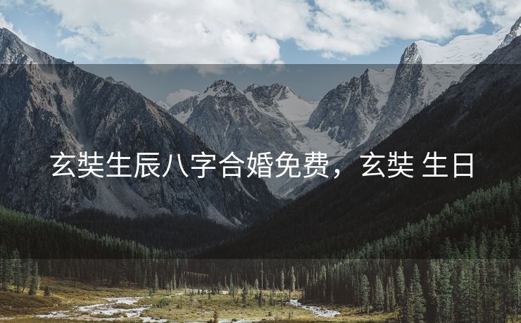玄奘生辰八字合婚免费，玄奘 生日