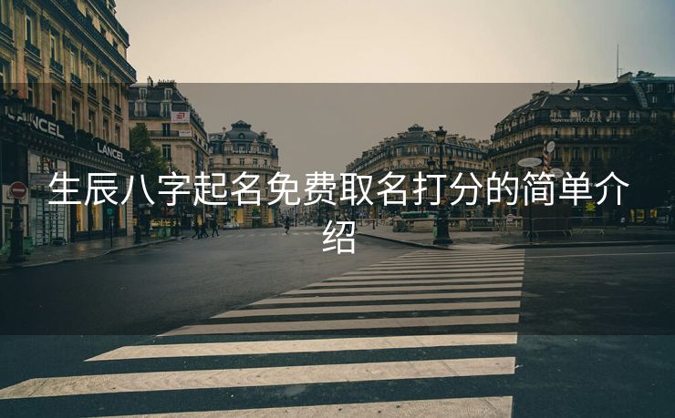 生辰八字起名免费取名打分的简单介绍