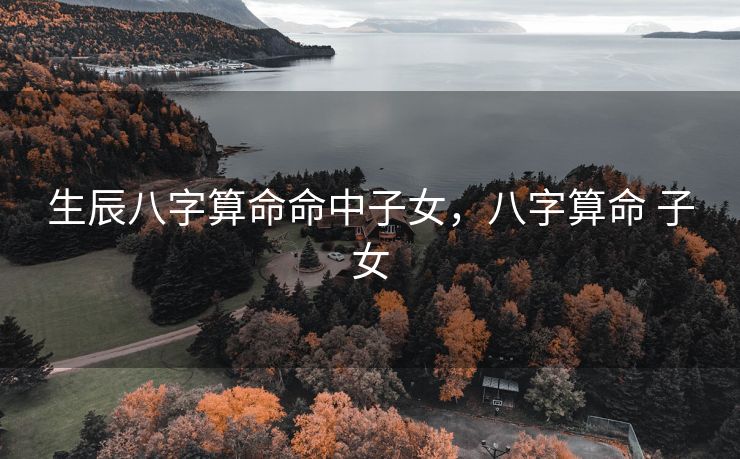 生辰八字算命命中子女，八字算命 子女