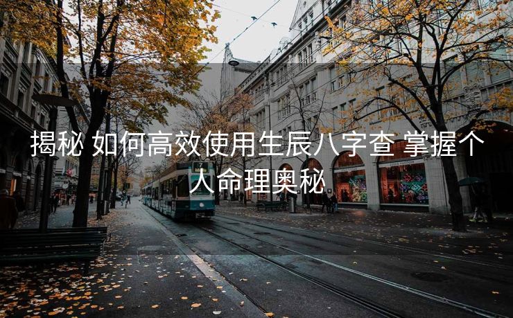 揭秘 如何高效使用生辰八字查 掌握个人命理奥秘