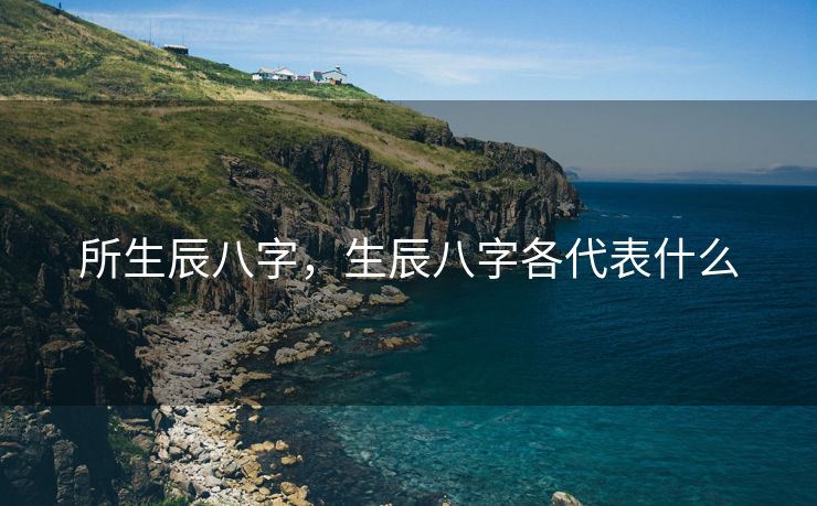 所生辰八字，生辰八字各代表什么