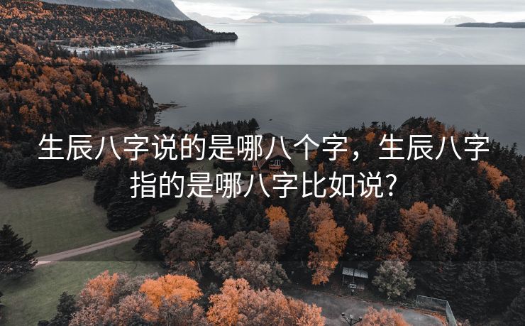 生辰八字说的是哪八个字，生辰八字指的是哪八字比如说?