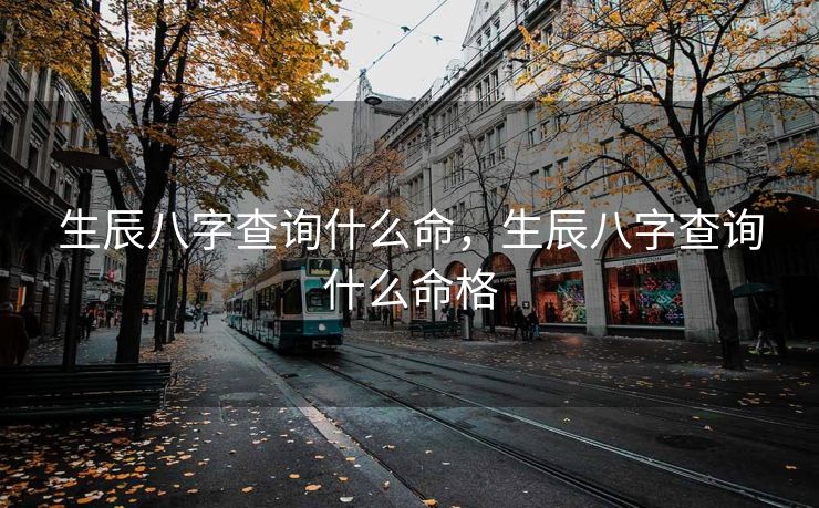 生辰八字查询什么命，生辰八字查询什么命格