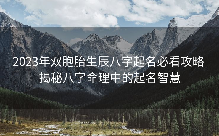 2023年双胞胎生辰八字起名必看攻略 揭秘八字命理中的起名智慧