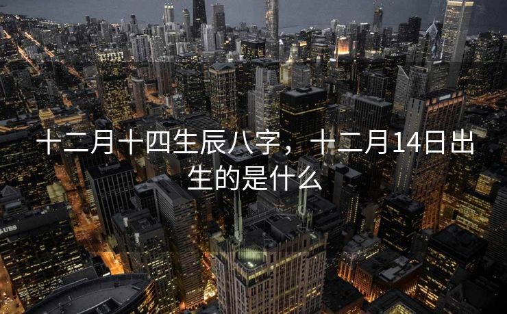 十二月十四生辰八字，十二月14日出生的是什么