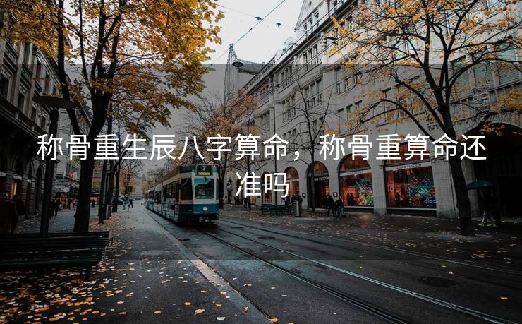 称骨重生辰八字算命，称骨重算命还准吗