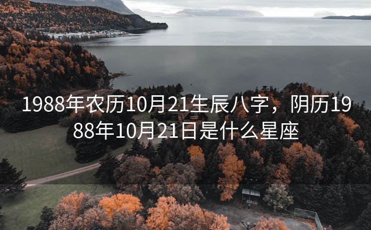 1988年农历10月21生辰八字，阴历1988年10月21日是什么星座
