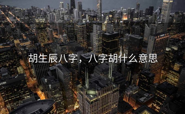胡生辰八字，八字胡什么意思