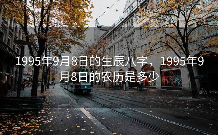 1995年9月8日的生辰八字，1995年9月8日的农历是多少