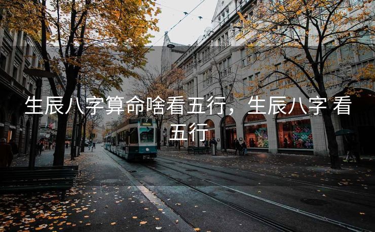 生辰八字算命啥看五行，生辰八字 看五行