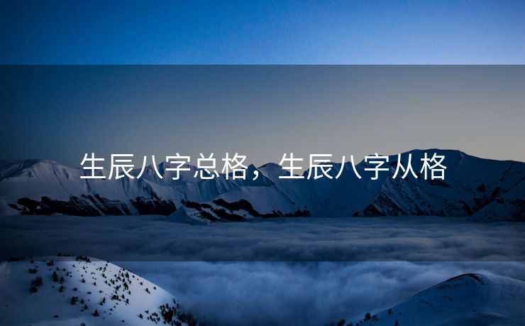 生辰八字总格，生辰八字从格