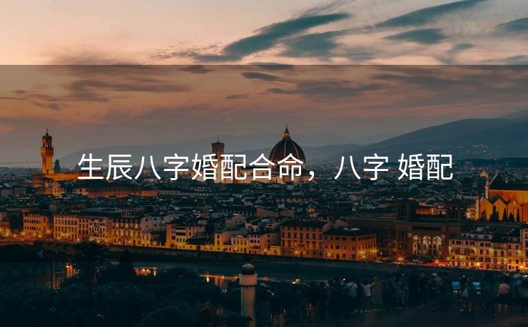 生辰八字婚配合命，八字 婚配
