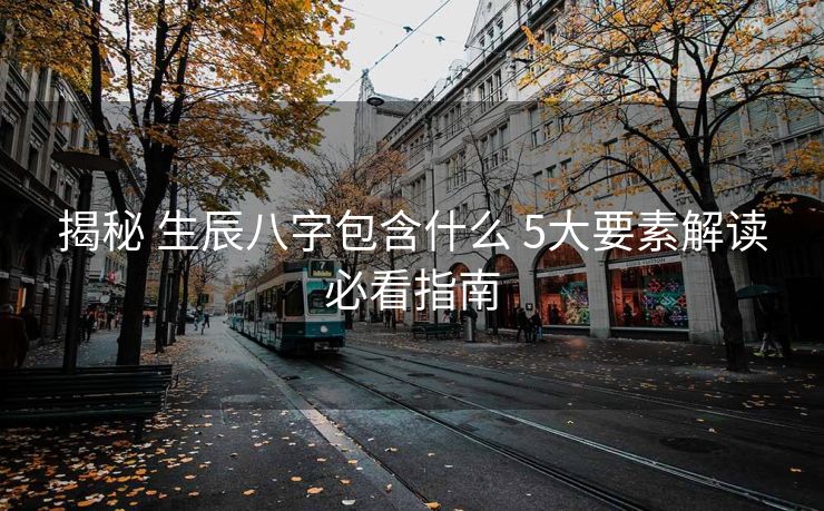 揭秘 生辰八字包含什么 5大要素解读必看指南