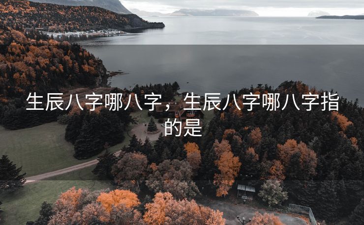 生辰八字哪八字，生辰八字哪八字指的是