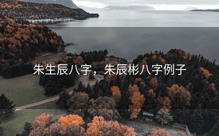 朱生辰八字，朱辰彬八字例子