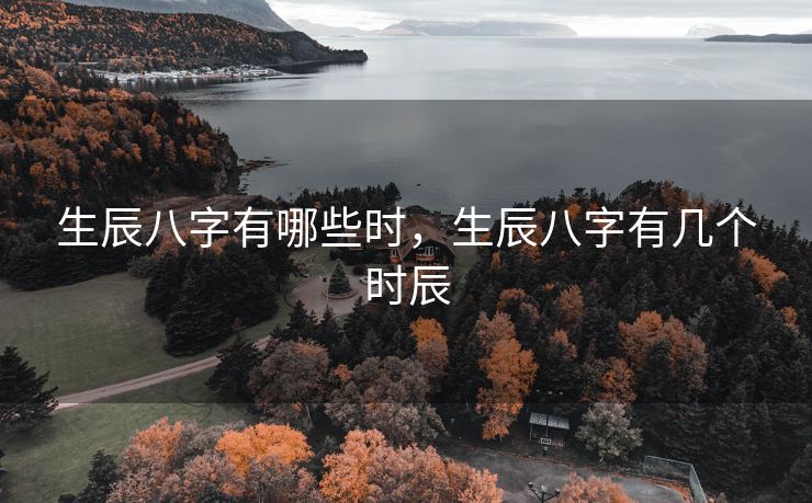 生辰八字有哪些时，生辰八字有几个时辰