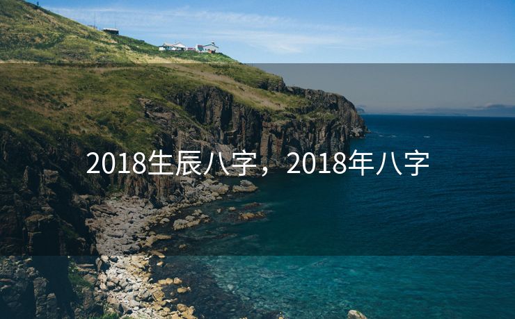 2018生辰八字，2018年八字