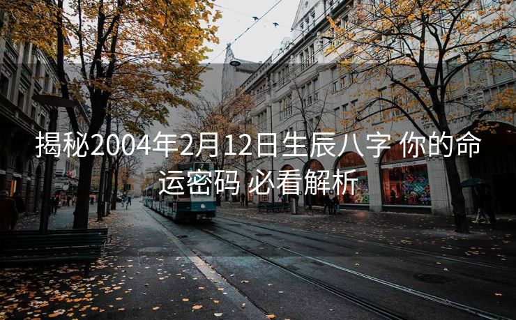 揭秘2004年2月12日生辰八字 你的命运密码 必看解析