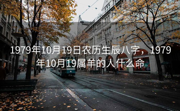 1979年10月19日农历生辰八字，1979年10月19属羊的人什么命