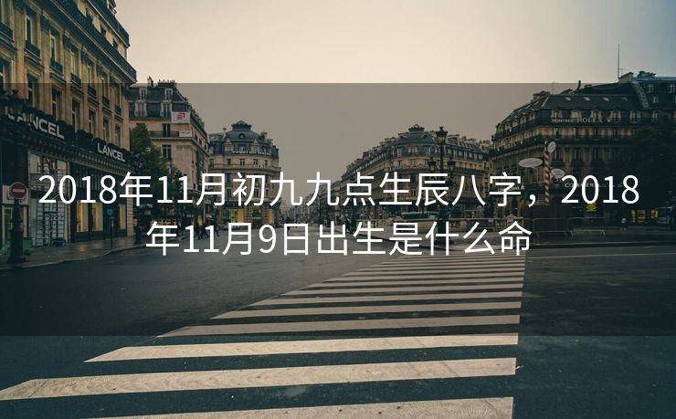 2018年11月初九九点生辰八字，2018年11月9日出生是什么命