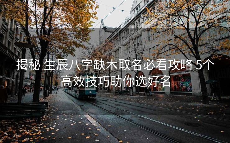 揭秘 生辰八字缺木取名必看攻略 5个高效技巧助你选好名
