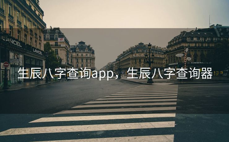 生辰八字查询app，生辰八字查询器
