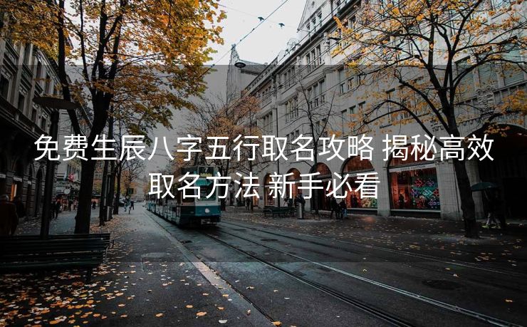 免费生辰八字五行取名攻略 揭秘高效取名方法 新手必看