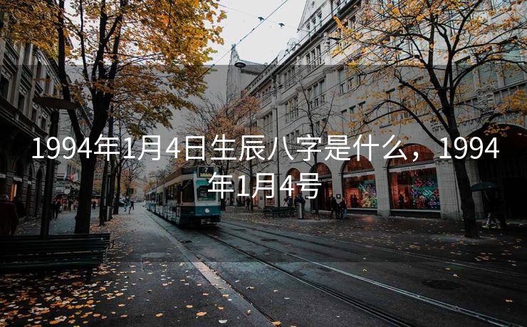 1994年1月4日生辰八字是什么，1994年1月4号