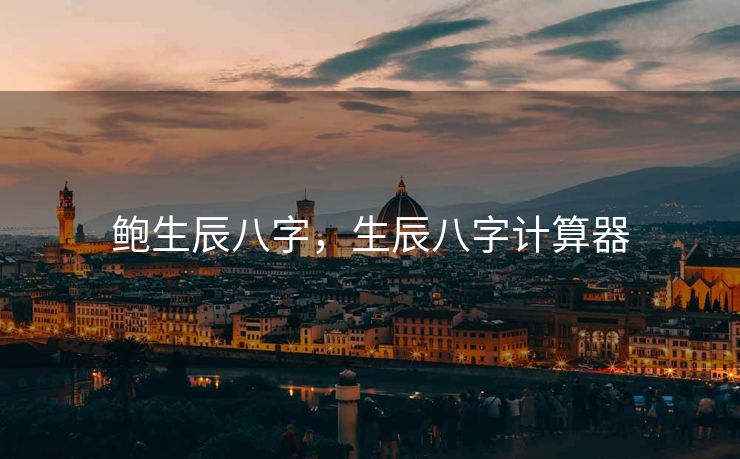 鲍生辰八字，生辰八字计算器