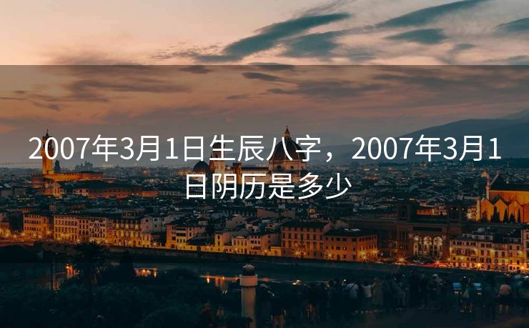 2007年3月1日生辰八字，2007年3月1日阴历是多少