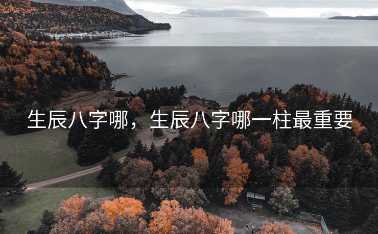 生辰八字哪，生辰八字哪一柱最重要