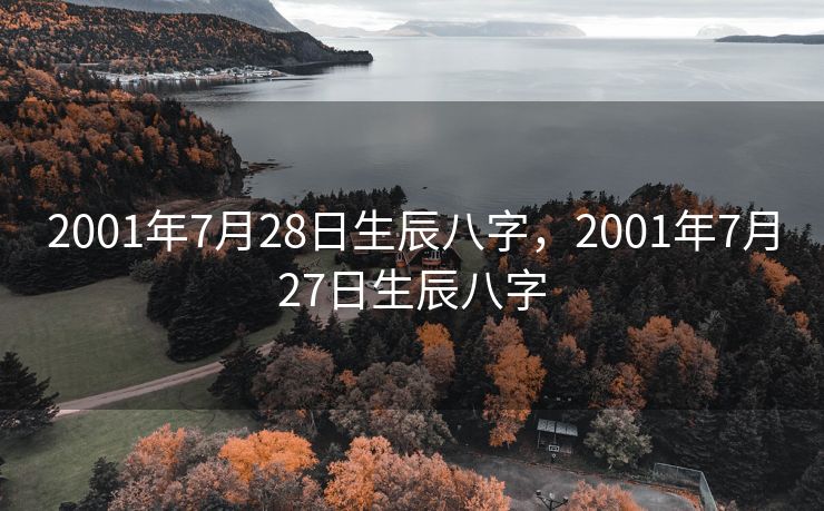 2001年7月28日生辰八字，2001年7月27日生辰八字