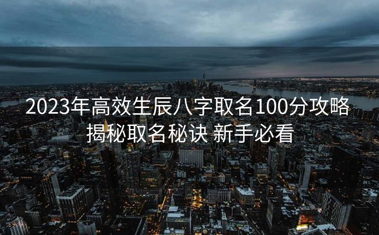 2023年高效生辰八字取名100分攻略 揭秘取名秘诀 新手必看