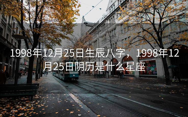 1998年12月25日生辰八字，1998年12月25日阴历是什么星座