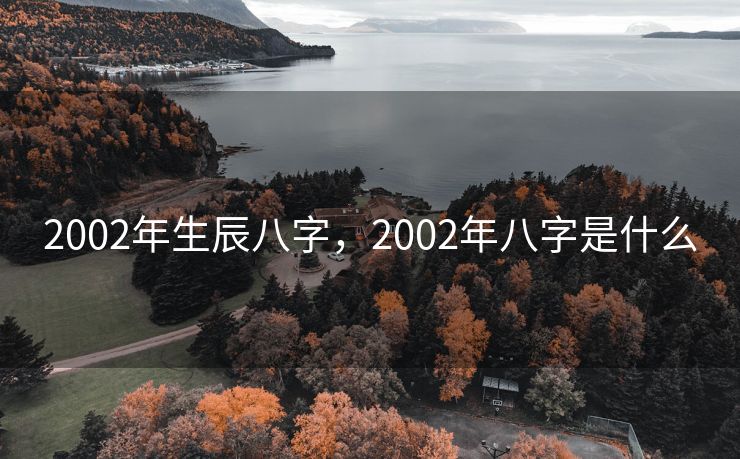 2002年生辰八字，2002年八字是什么