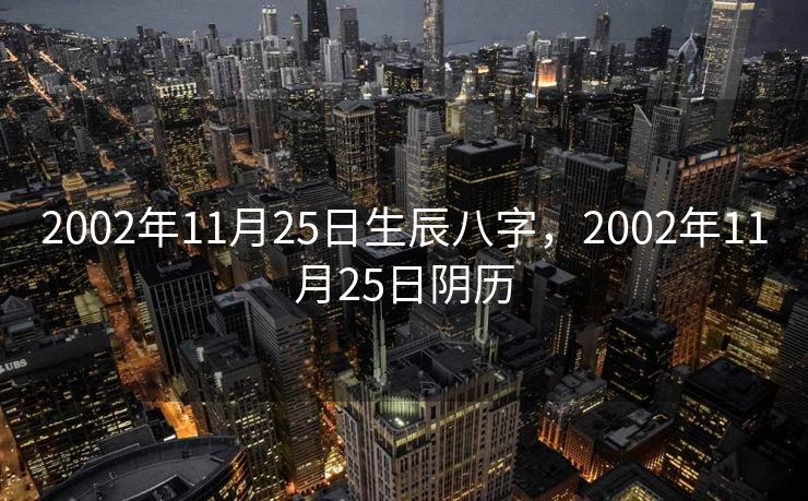 2002年11月25日生辰八字，2002年11月25日阴历